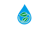 首頁(yè)