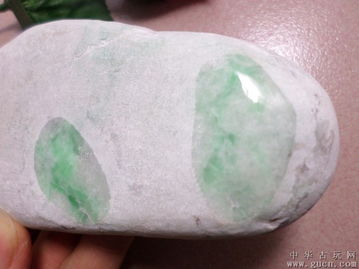 高品質全透緬甸A貨陽綠翡翠原石 水好種好的珍品